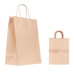 Paper Bag with Handle 10 Medium